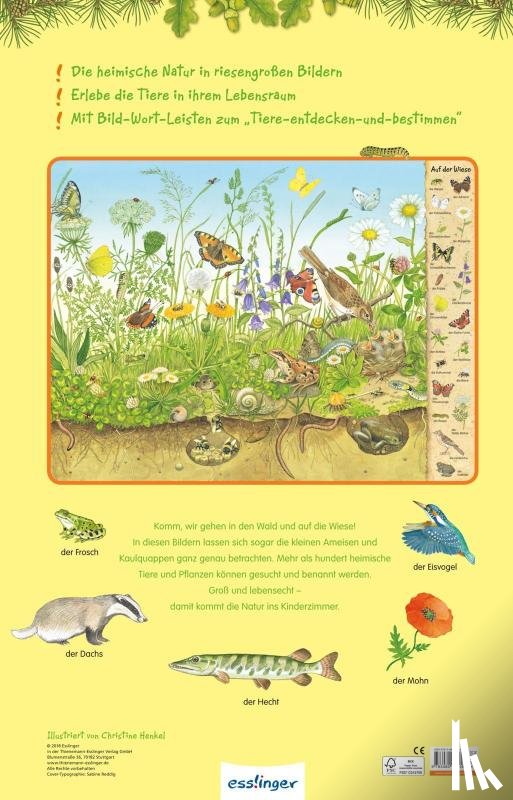  - Das Riesen-Natur-Wimmelbuch