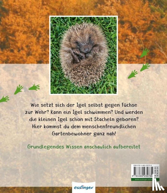 Tracqui, Valérie - Meine große Tierbibliothek: Der Igel