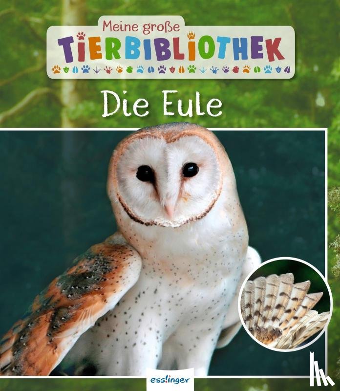 Poschadel, Jens - Meine große Tierbibliothek: Die Eule