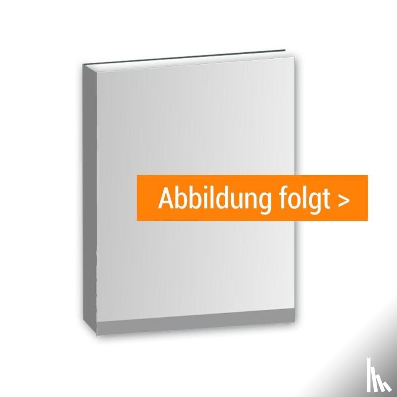 Klitzke, Lars, Zerwas, Martin - Energetisch optimieren im Bestand
