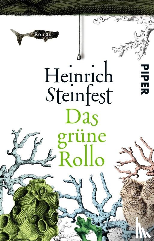 Steinfest, Heinrich - Das grüne Rollo
