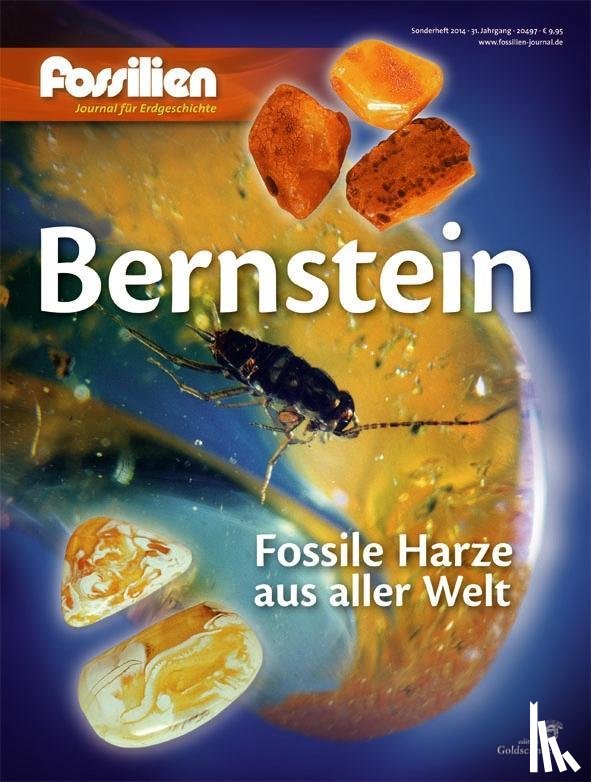  - Bernstein