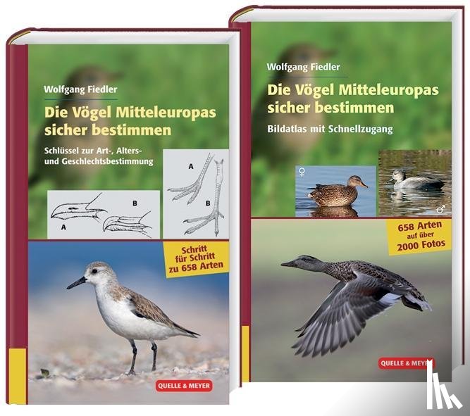 Fiedler, Wolfgang - Die Vögel Europas sicher bestimmen