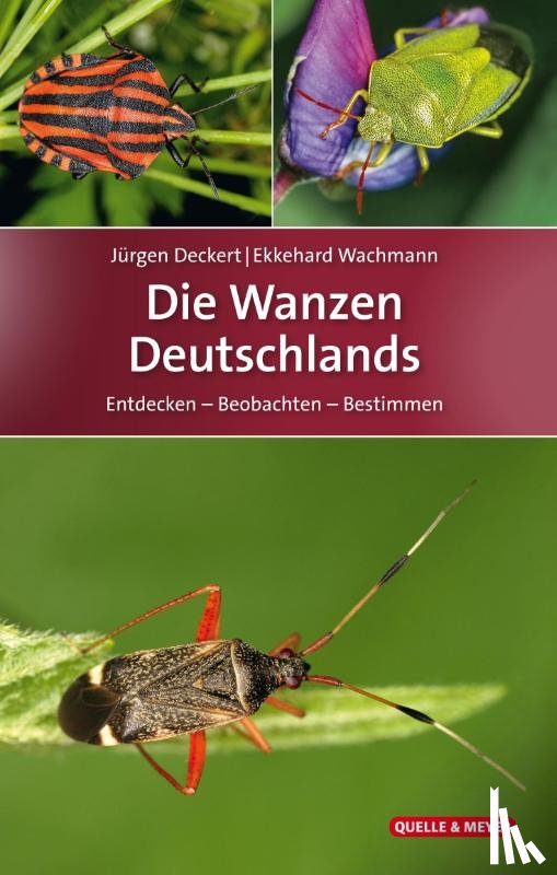 Deckert, Jürgen, Wachmann, Ekkehard - Die Wanzen Deutschlands
