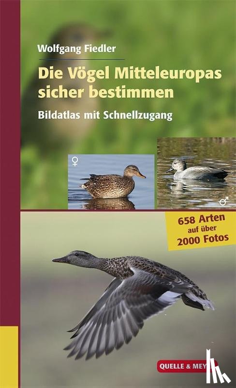 Fiedler, Wolfgang - Die Vögel Mitteleuropas sicher bestimmen. Band 2