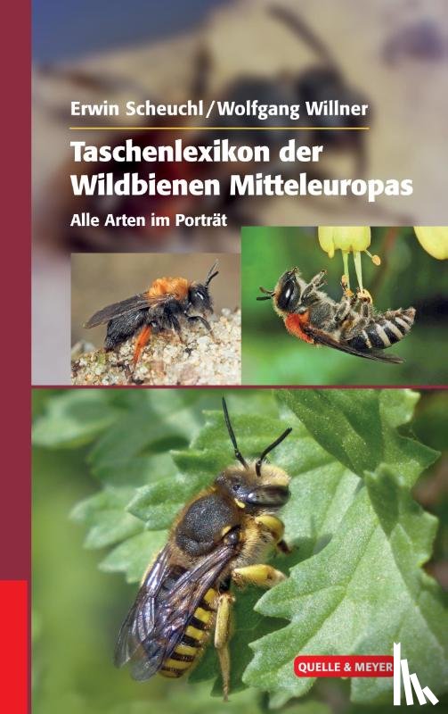 Scheuchl, Erwin, Willner, Wolfgang - Taschenlexikon der Wildbienen Mitteleuropas