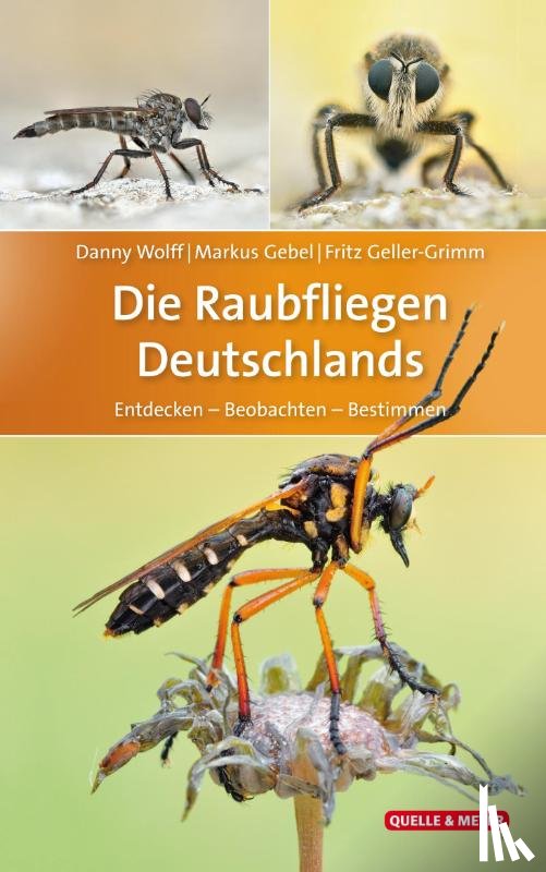 Wolff, Danny, Gebel, Markus, Geller-Grimm, Fritz - Die Raubfliegen Deutschlands