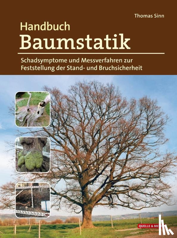 Sinn, Thomas - Handbuch Baumstatik