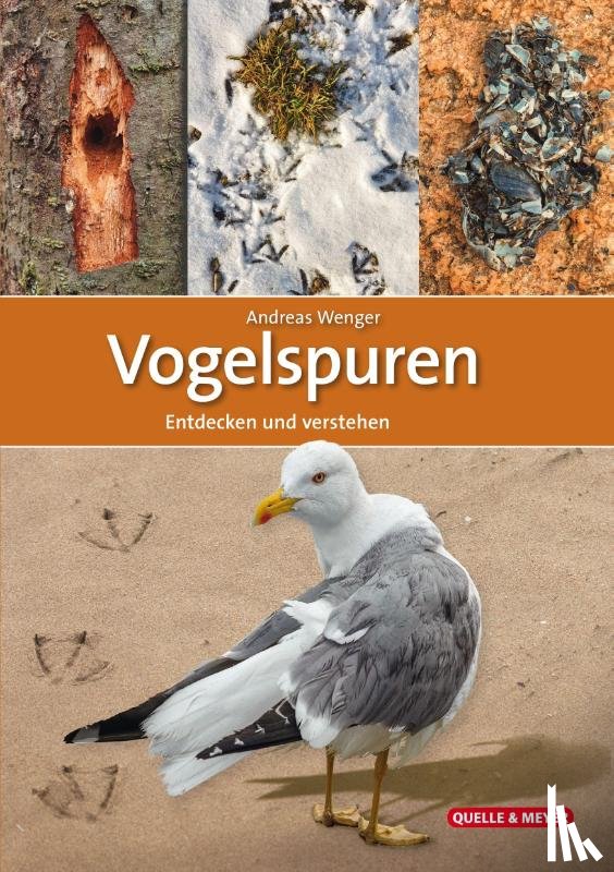 Wenger, Andreas - Vogelspuren