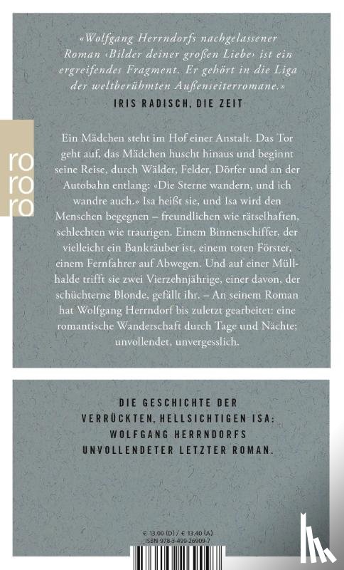 Herrndorf, Wolfgang - Bilder deiner grossen Liebe