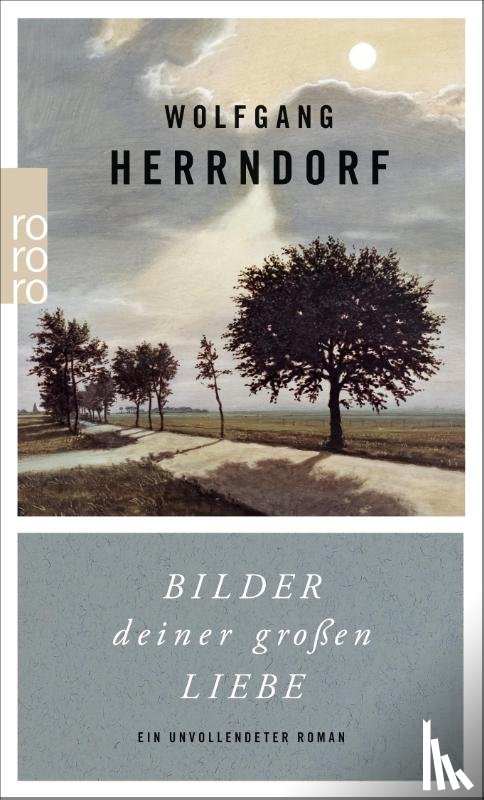 Herrndorf, Wolfgang - Bilder deiner grossen Liebe