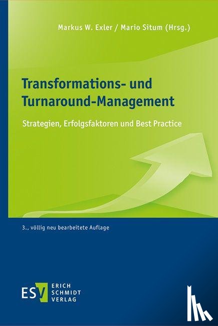  - Transformations- und Turnaround-Management