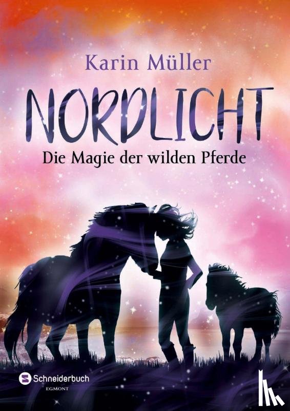 Müller, Karin - Nordlicht, Band 03