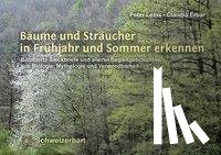 Leins, Peter, Erbar, Claudia - Bäume und Sträucher in Frühjahr und Sommer erkennen