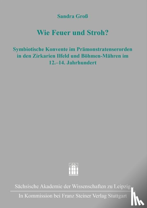 Groß, Sandra - Wie Feuer und Stroh?