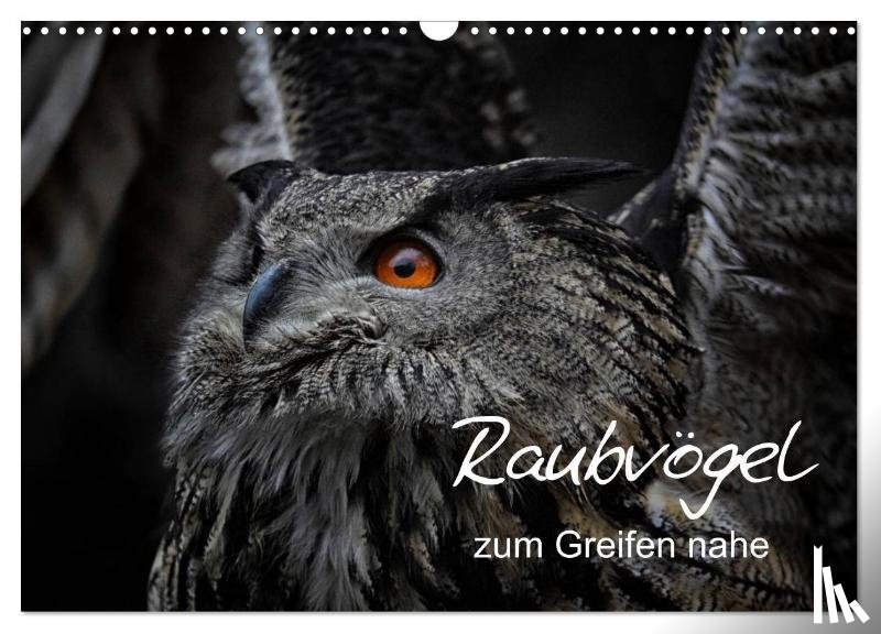 Milfeit, Michael - Raubvögel zum Greifen nahe (Wandkalender 2026 DIN A3 quer), CALVENDO Monatskalender