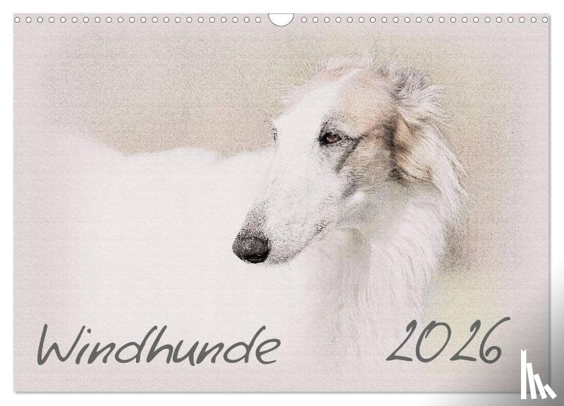 Redecker, Andrea - Windhunde 2026 (Wandkalender 2026 DIN A3 quer), CALVENDO Monatskalender