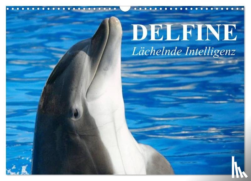 Stanzer, Elisabeth - Delfine - Lächelnde Intelligenz (Wandkalender 2026 DIN A3 quer), CALVENDO Monatskalender
