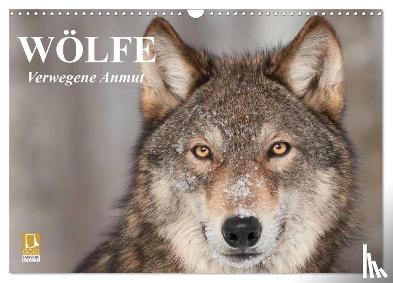 Stanzer, Elisabeth - Wölfe. Verwegene Anmut (Wandkalender 2026 DIN A3 quer), CALVENDO Monatskalender