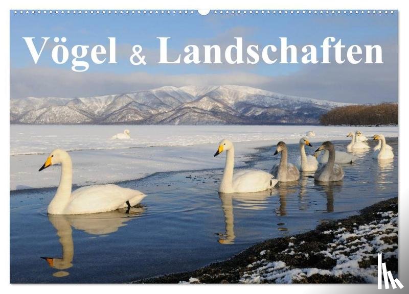 Birdimagency. Com, Birdimagency. Com - Vögel & Landschaften (Wandkalender 2026 DIN A2 quer), CALVENDO Monatskalender