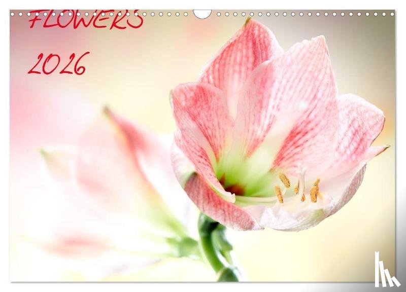 Und Max Waldecker, Axel - Flowers / 2026 (Wandkalender 2026 DIN A3 quer), CALVENDO Monatskalender