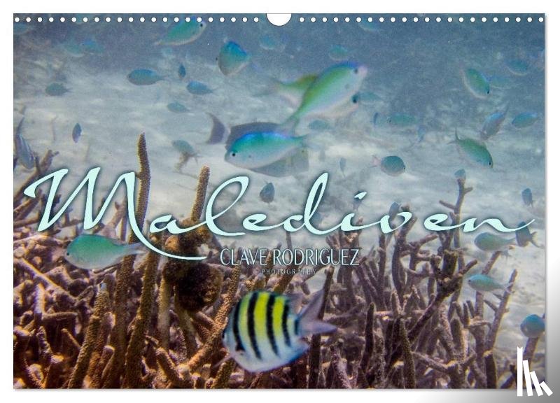 Rodriguez Photography, Clave - Unterwasserwelt der Malediven III (Wandkalender 2026 DIN A3 quer), CALVENDO Monatskalender