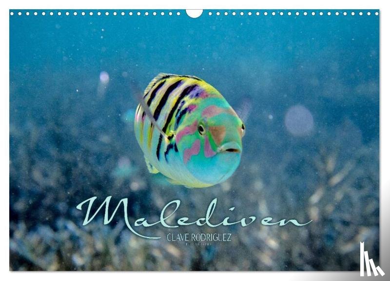 Rodriguez Photography, Clave - Unterwasserwelt der Malediven II (Wandkalender 2026 DIN A3 quer), CALVENDO Monatskalender
