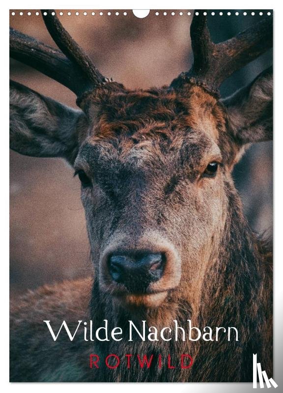 Payne, Chris - Wilde Nachbarn: Rotwild (Wandkalender 2026 DIN A3 hoch), CALVENDO Monatskalender
