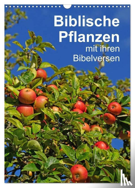 Vorndran, Hans-Georg - Biblische Pflanzen mit ihren Bibelversen (Wandkalender 2026 DIN A3 hoch), CALVENDO Monatskalender