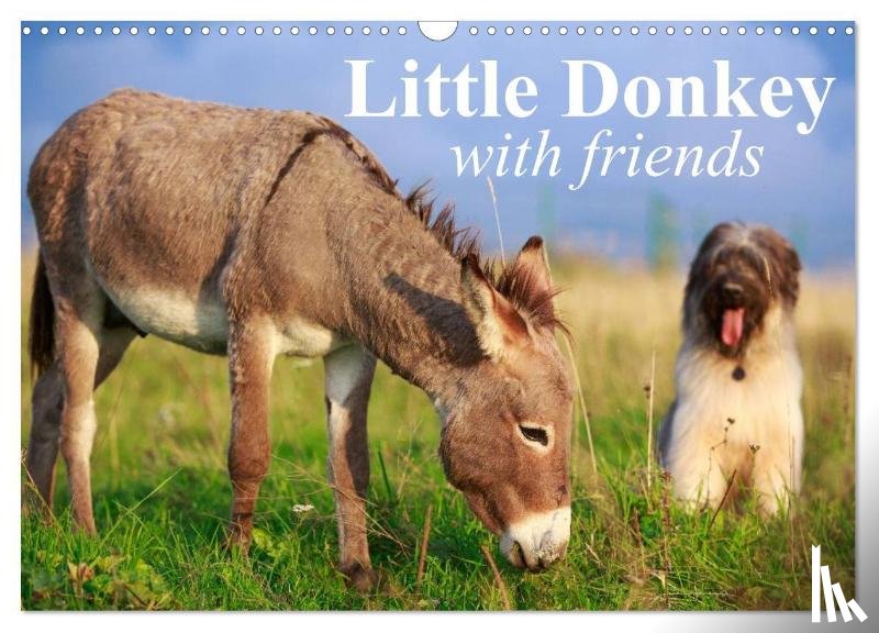 Stanzer, Elisabeth - Little Donkey with Friends (Wall Calendar 2026 DIN A3 landscape), CALVENDO 12 Month Wall Calendar