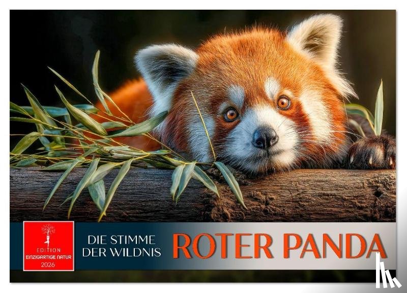 Roder, Peter - Roter Panda - die Stimme der Wildnis (Wandkalender 2026 DIN A2 quer), CALVENDO Monatskalender
