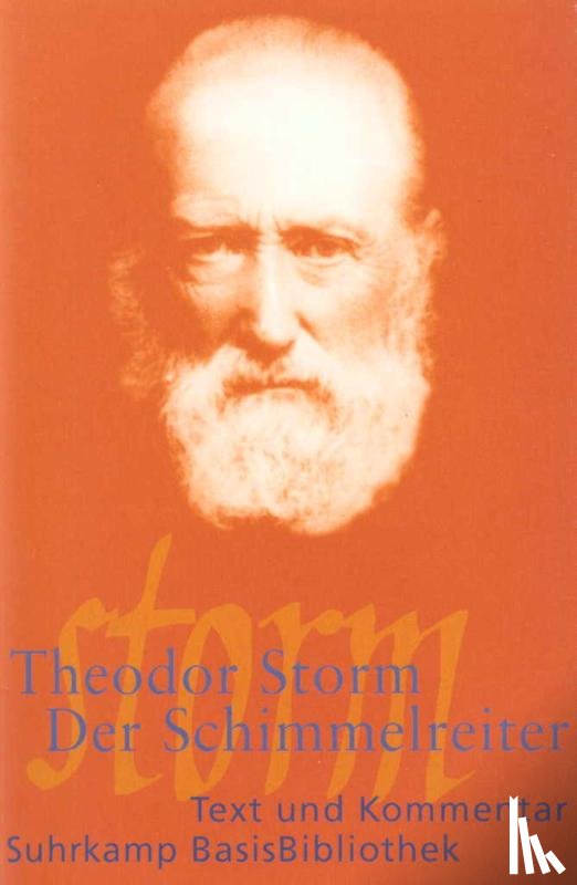 Storm, Theodor - Der Schimmelreiter