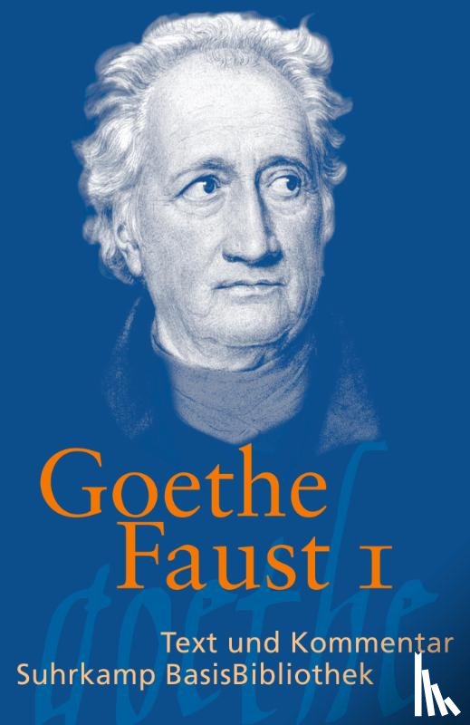 Goethe, Johann Wolfgang, Steinmetz, Ralf-Henning - Faust