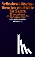  - Selbstbewußtseinstheorien von Fichte bis Sartre