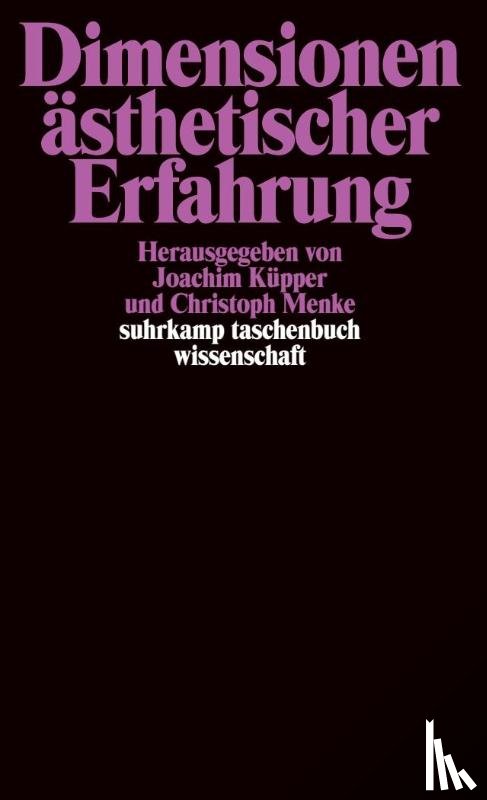  - Dimensionen ästhetischer Erfahrung