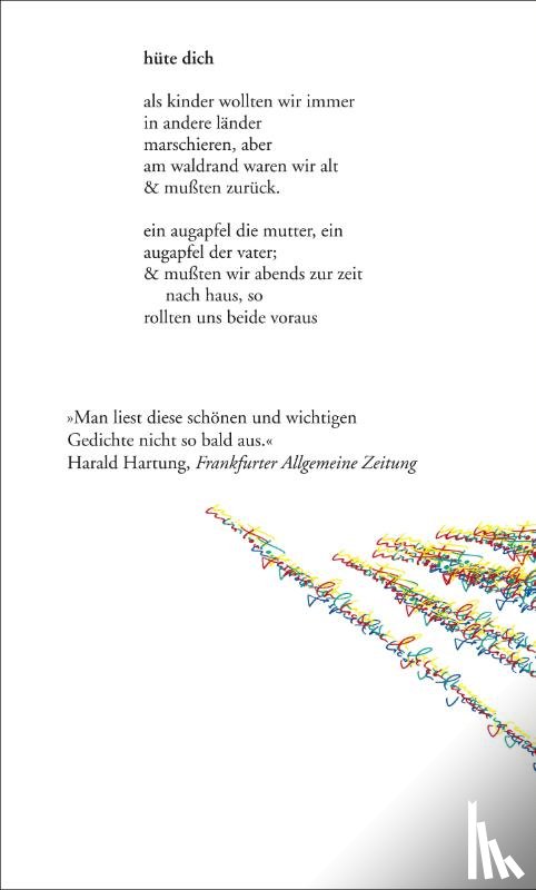 Seiler, Lutz - im felderlatein