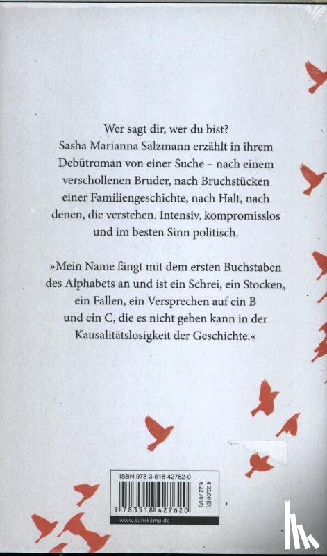 Salzmann, Sasha Marianna - Ausser sich