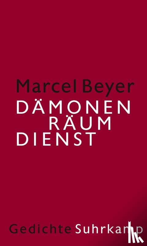 Beyer, Marcel - Dämonenräumdienst