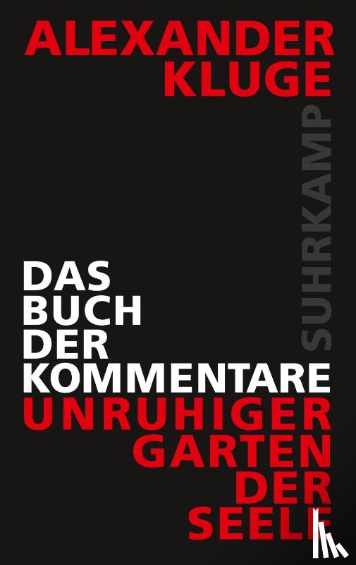 Kluge, Alexander - Das Buch der Kommentare