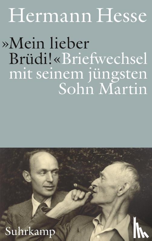 Hesse, Hermann - 'Mein lieber Brüdi!'