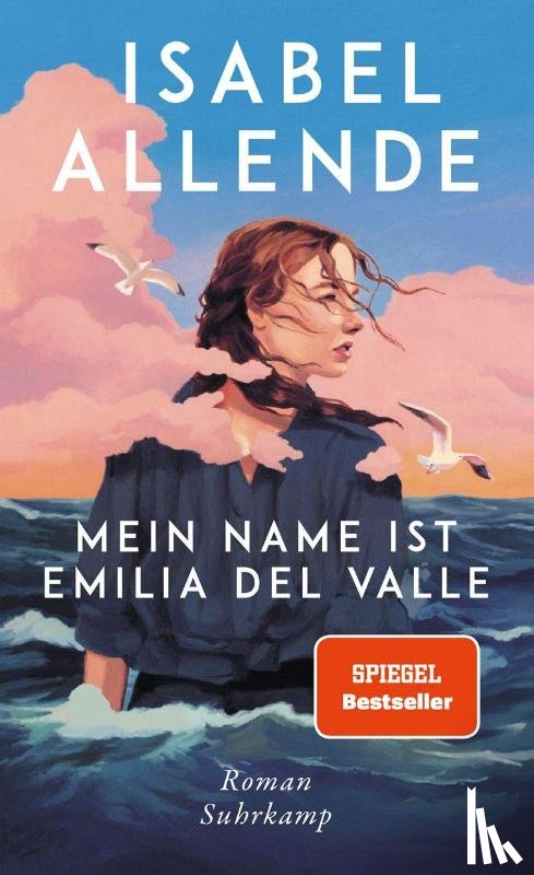 Allende, Isabel - Mein Name ist Emilia del Valle