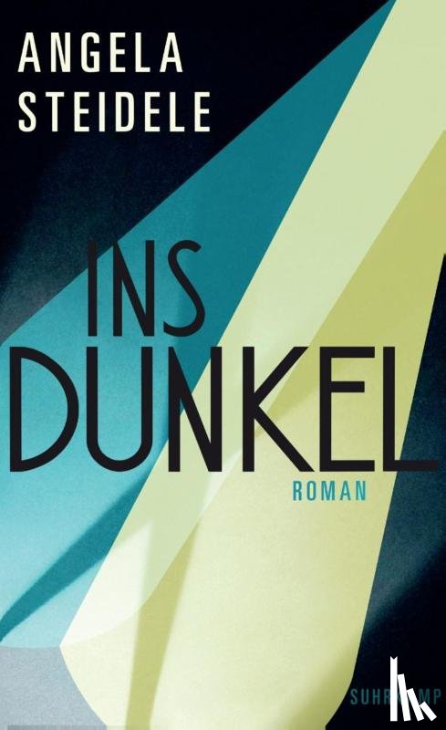 Steidele, Angela - Ins Dunkel