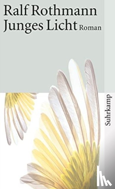 Rothmann, Ralf - Junges Licht
