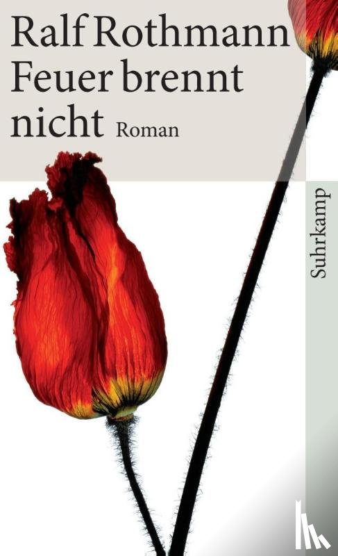 Rothmann, Ralf - Feuer brennt nicht