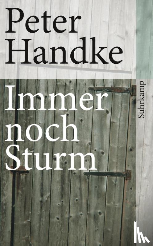 Handke, Peter - Immer noch Sturm