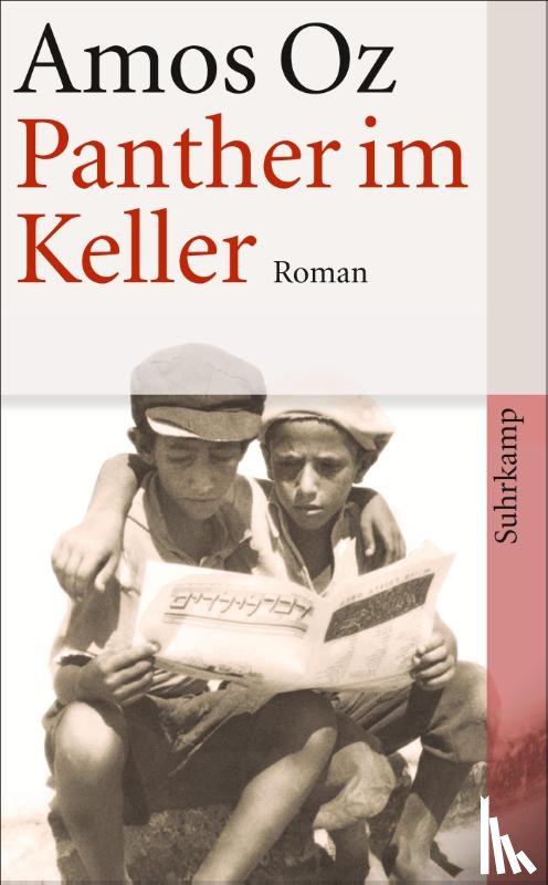 Oz, Amos - Panther im Keller