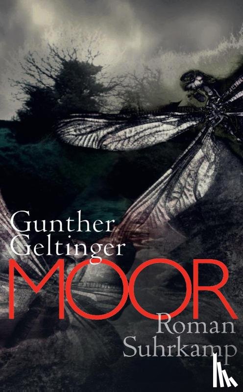 Geltinger, Gunther - Moor