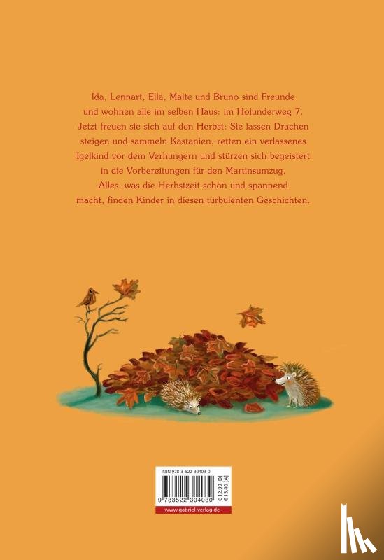 Baumbach, Martina - Herbst im Holunderweg