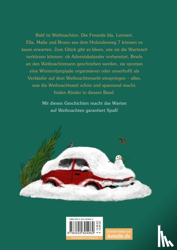 Baumbach, Martina - Holunderweg: Advent im Holunderweg