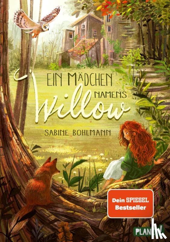 Bohlmann, Sabine - Ein Mädchen namens Willow 1: Ein Mädchen namens Willow